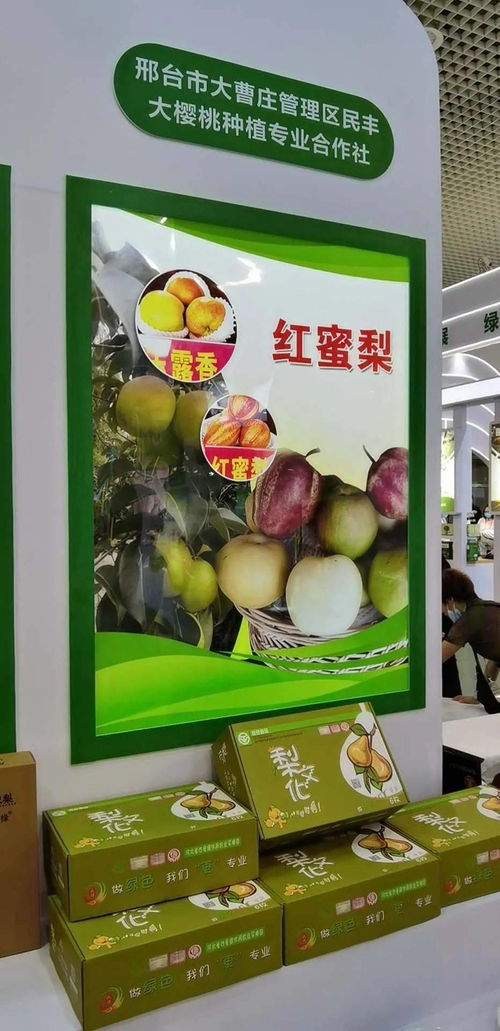 寧晉綠色農(nóng)產(chǎn)品在廈門(mén)綠博會(huì)廣受歡迎，水產(chǎn)品零售表現(xiàn)搶眼