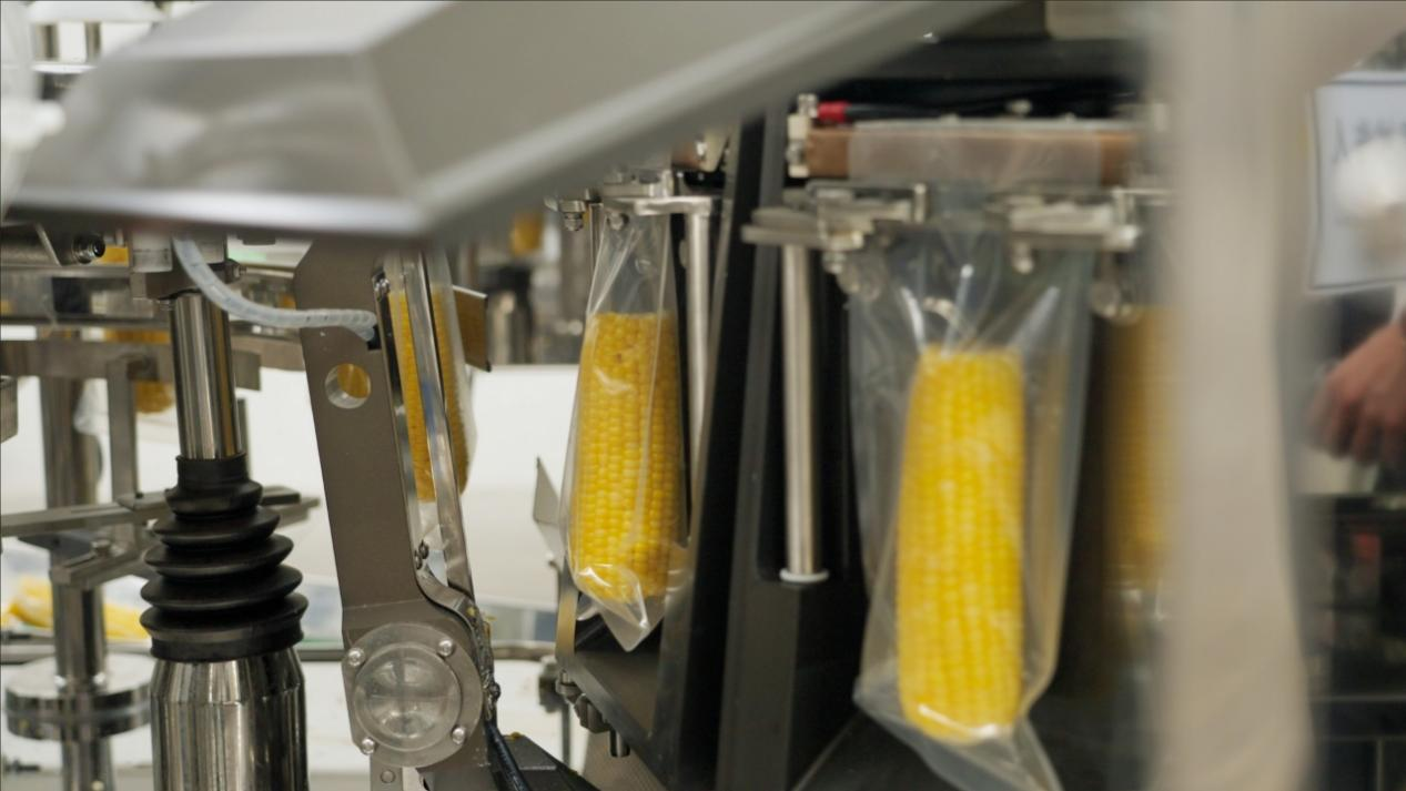 對(duì)話十月稻田董事長王兵 從農(nóng)產(chǎn)品零售到新一代廚房主食品牌的突圍之路